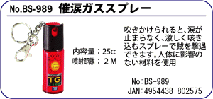 BS-989 ×܃KXXv[